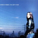 Michelle Branch<br>The Spirit Room (20th Anniversary Edition)<br>(Vinyl Mastering)